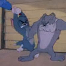 Une Trève mouvementée - Vidéos - Vidéos de DESSINS ANIMES - Vidéo TOM & JERRY