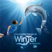 Winter le Dauphin, l'affiche