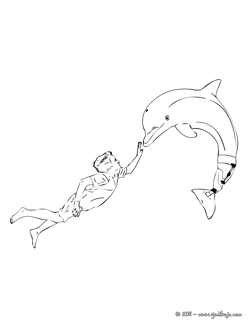 Coloriage Winter le Dauphin l affiche