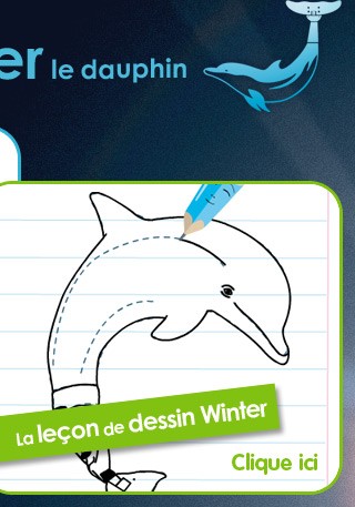 Winter le dauphin - lecon de dessin