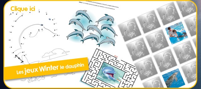 Winter le dauphin - concours