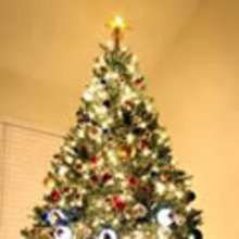 Vid�o MON BEAU SAPIN
