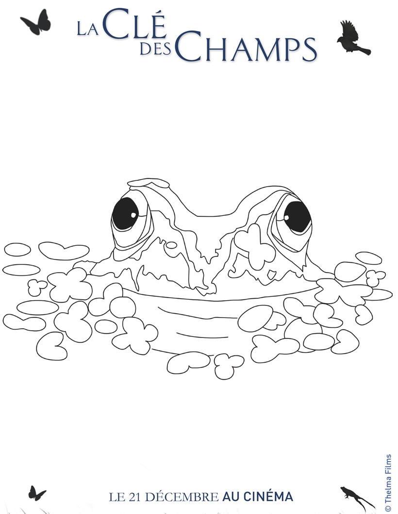 grenouille a colorier