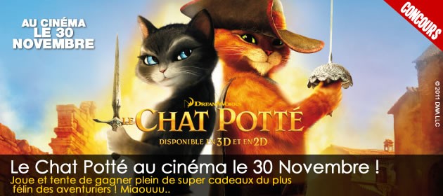 chat meudon