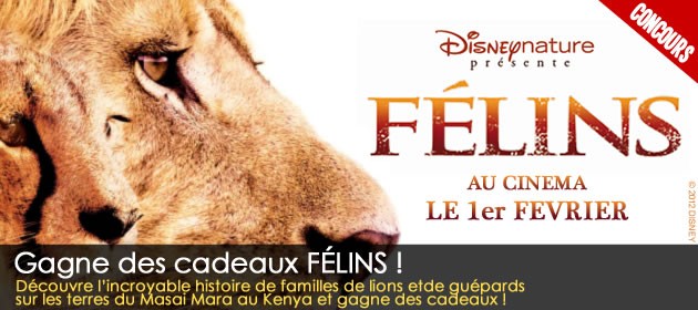 Joue avec FELINS et gagne plein de cadeaux du film !