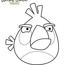 Angry Birds Star Wars Coloriage