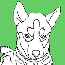 Coloriage ANIMAUX - Coloriage