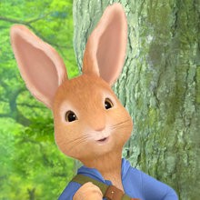 Viens t'amuser avec PIERRE LAPIN ! - Jeux