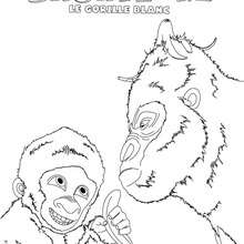 Coloriage En Ligne Hellokids