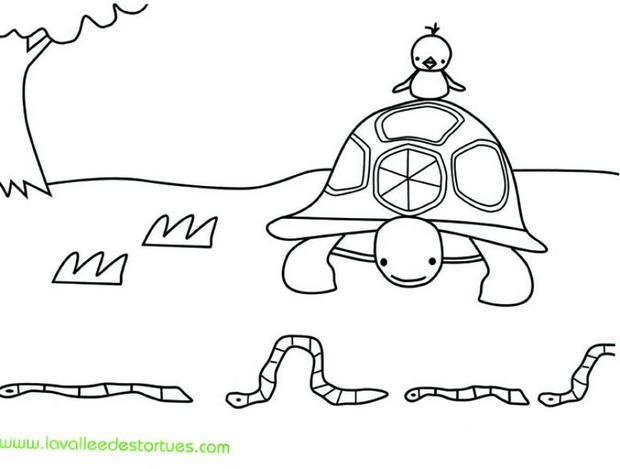 coloriage de la tortue et les vers de terre