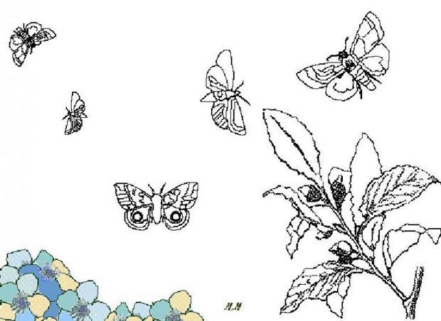 Coloriages papillons qui volent  fr.hellokids.com