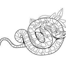 Coloriage Alerte Cobra Imprimer