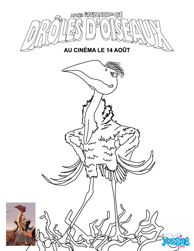 Coloriage DROLES D OISEAUX Coloriages Coloriage imprimer Vautour operator Marabous