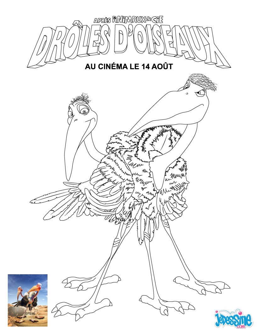 Coloriage DROLES D OISEAUX Coloriages Coloriage imprimer Zoe la chouette Vautour operator