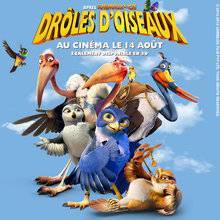 Drôles d'oiseaux