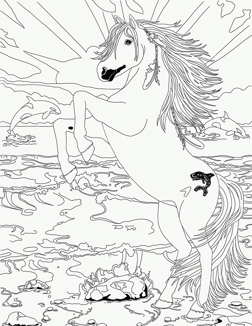 Coloriage Orca et les dauphins Bella Sara
