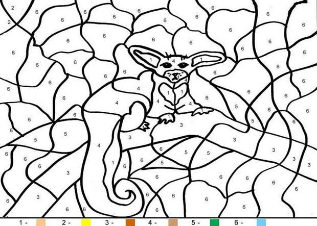 Coloriage 5 Ans A Imprimer