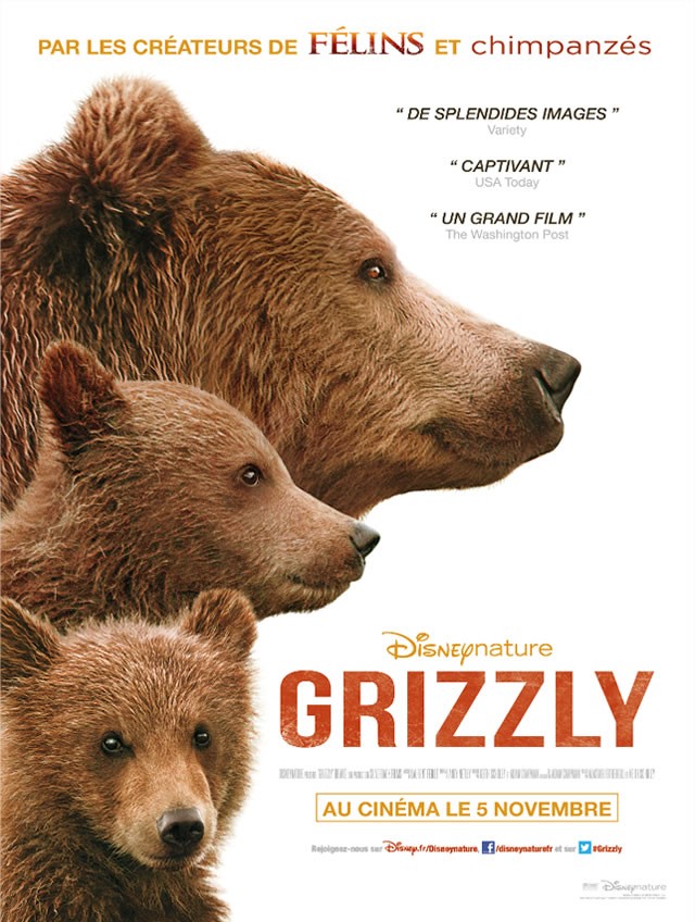 Bande-annonce de Grizzly le nouveau film Disneynature