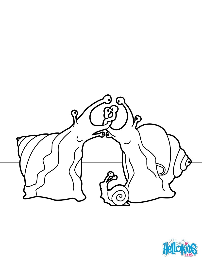 Coloriages couple d escargots fr hellokids Coloriage Couple d escargots