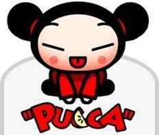 Pucca love !