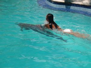 nager-avec-les-dauphins