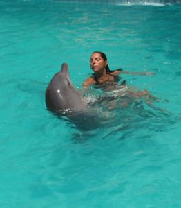 nager-avec-les-dauphins