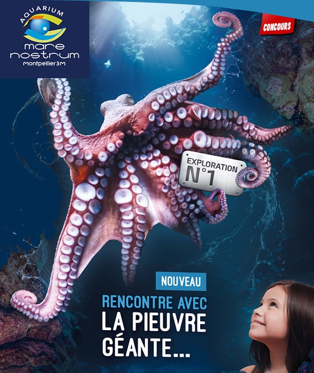 Des pass à gagner pour l'Aquarium de Montpellier !
