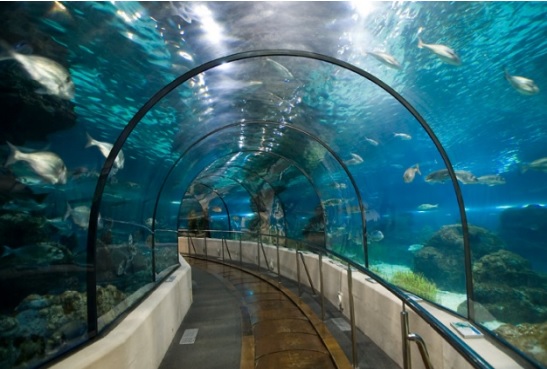 L'aquarium de La Rochelle