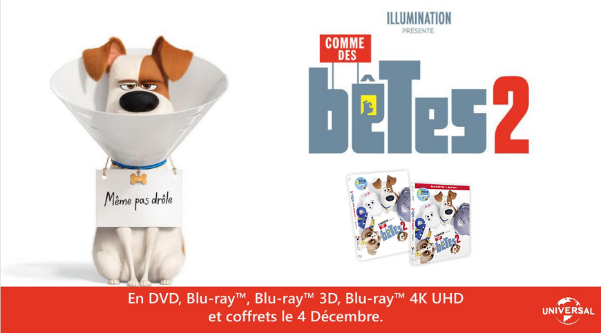 COMME DES BÊTES 2 en DVD et Blu-Ray