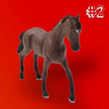 rencontre dans le monde du cheval