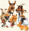 Ce qui protege les animaux