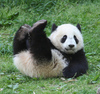 Protection animaux et nature