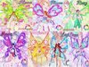 Equipe anges winx !
