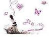 pour tous se qui aime les chats