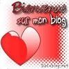 Regardez nos blogs