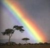 LOVE arc-en-ciel