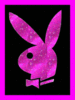 play boy
