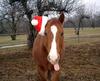 noël!!!