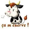Personne vient sur mon blog!!!!!T_T