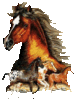 grand galop et les chats