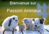 les animaux!