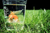 ○ Ce qui m\\\'aimes bien / m\\\'adore [Miss coco Medina] ○