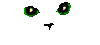 pour les chatons