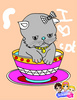 moi j aime les chats