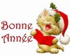 Je suis fan des chats ♥