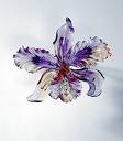 Orchidée ( Max de o )