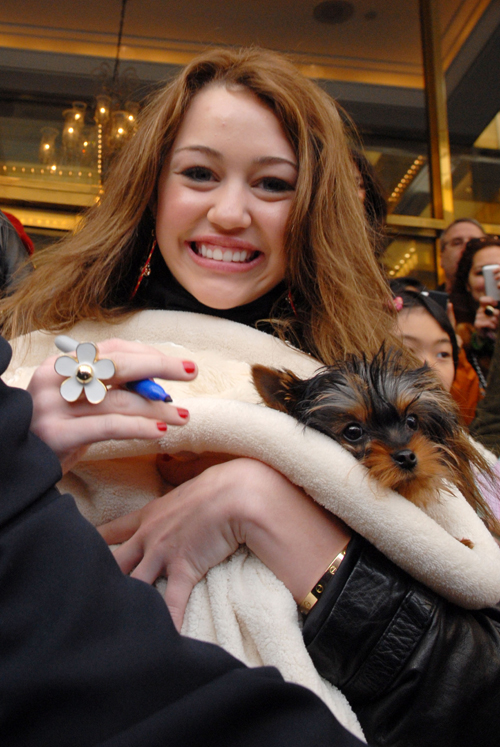 miley cyrus tits