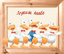 canards