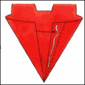 image-point-3