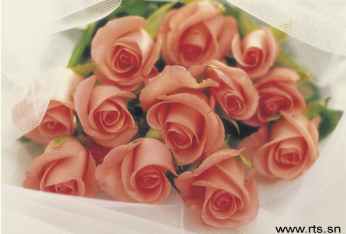 http://images.jedessine.com/_uploads/membres/articles/20090414/4agbb_fleurs14.jpg